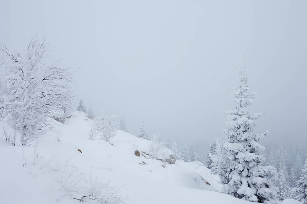 Floresta de Inverno de Fadas no Parque Nacional Zyuratkul. Inverno paisagem nevada do Lago Zuratkul
 - Foto, Imagem