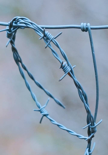                               metallic old broken barbed wire fence in the nature  - Photo, Image