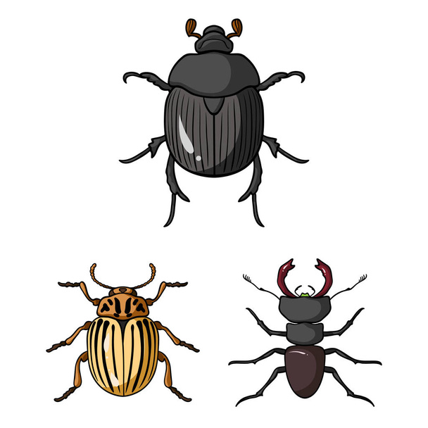 Isolated object of insect and beetle icon. Collection of insect and halloween vector icon for stock. - Vector, Image