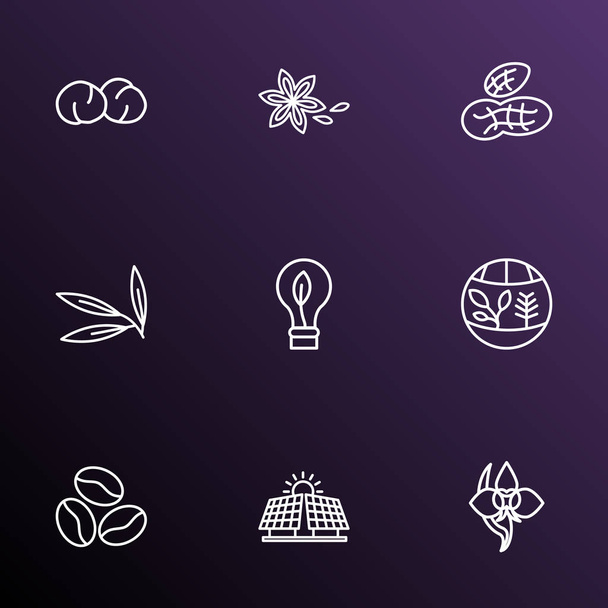 Landscape icons line style set with peanut, star anise, chickpeas and other hummus elements. Isolated vector illustration landscape icons. - Vector, Image