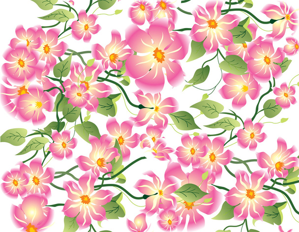 Floral background - Vektor, Bild