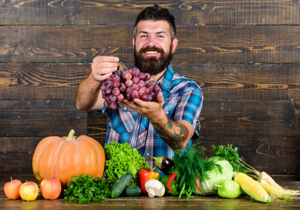 Grapes from own garden. Farming concept. Farmer bearded guy with homegrown harvest on table hold grapes. Farmer proud of grapes harvest. Man hold grapes wooden background. Vegetables organic harvest - Foto, immagini