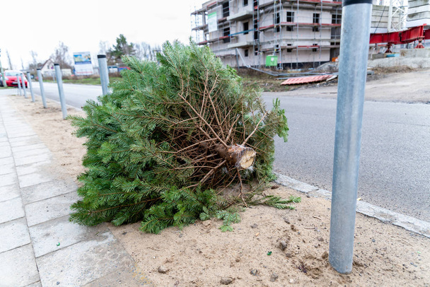 Ένα χριστουγεννιάτικο δέντρο που είχε βάλει στην άκρη του δρόμου, μετά τα Χριστούγεννα. - Φωτογραφία, εικόνα