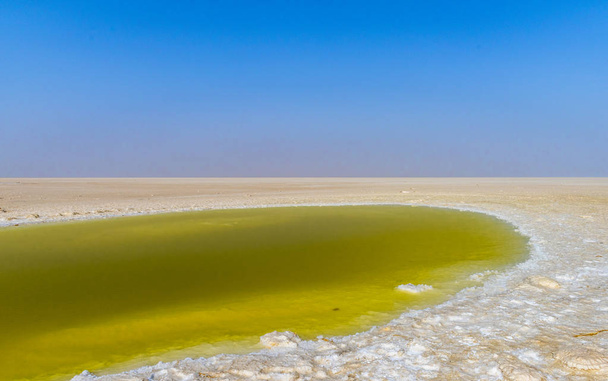 Staw z zielonkawo żółte wody w słony krajobraz z większą Rann Kaććh, Gujarat, Indie - Zdjęcie, obraz