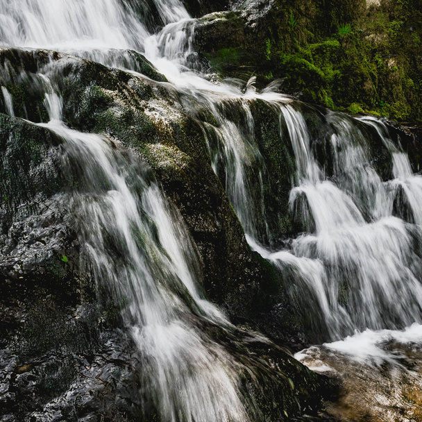 malerischer Wasserfall am Gebirgsfluss im Sommerwald. Reisen entlang des Flusses. - Foto, Bild