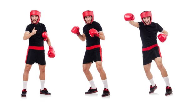 Funny boxer isolated on the white - Valokuva, kuva