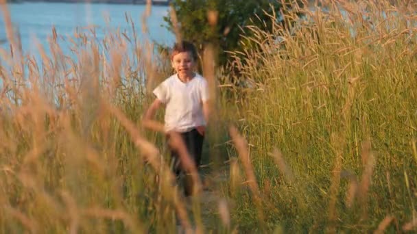 Gelukkig jongetje loopt langs het pad door het hoge gras van veld vreugde en plezier glimlach - Video