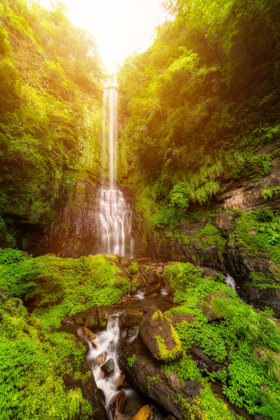  Xinyi Waterfall Mountain Forest Trail mit grünen Blättern bedeckt die steilen Klippen riesiger Felsen und den Wasserpool unterhalb der rauschenden Wasserfälle. Yilan, Taiwan - Foto, Bild