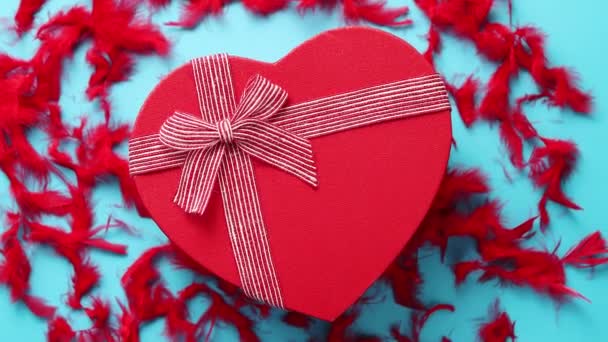 Red, heart shaped gift box placed on blue background among red feathers - Footage, Video