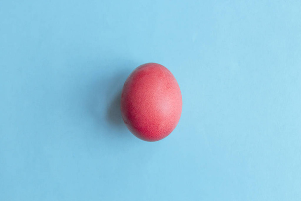 Trend colored living coral chicken egg on a blue pastel background - Photo, Image