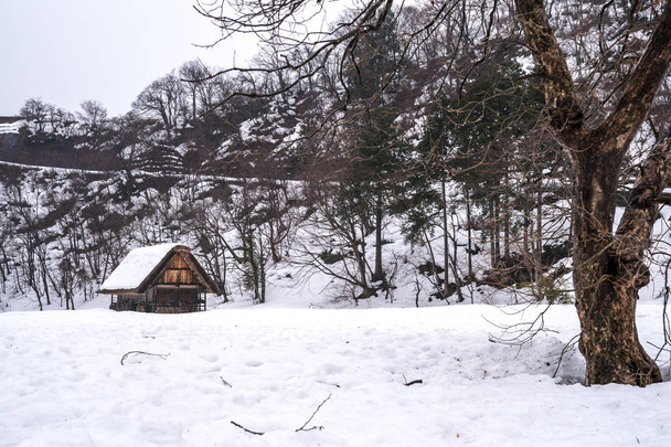 Les villages de Shirakawago et Gokayama font partie du patrimoine mondial de l'UNESCO. Ferme dans le village et montagne derrière
. - Photo, image