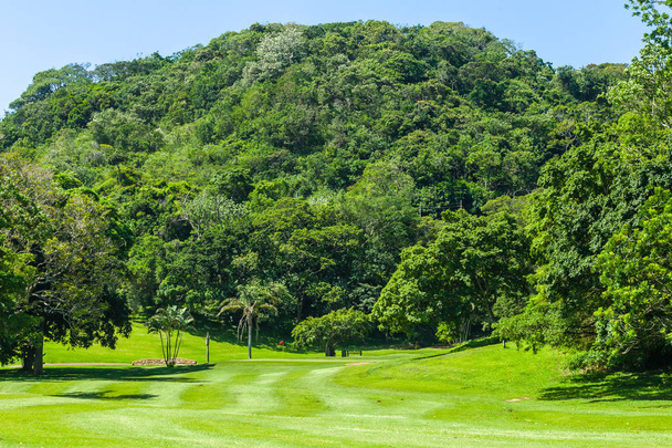 Campo de golf hoyo verde dogleg árboles pintorescos campo costero de verano
. - Foto, Imagen