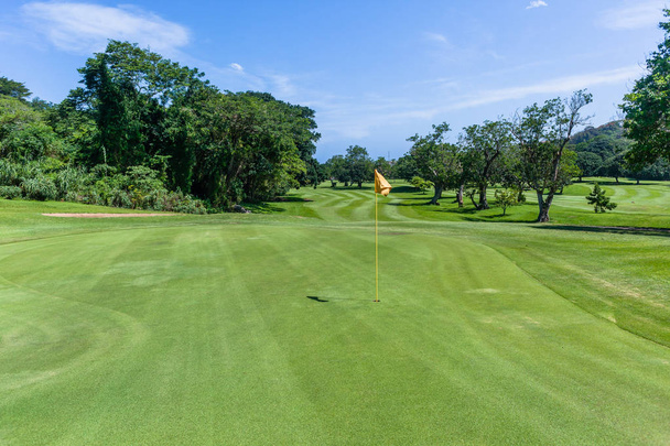 Golfbaan smalle fairway door bomen beide zijden naar gat flagstick groene schilderachtige kust zomercursus. - Foto, afbeelding