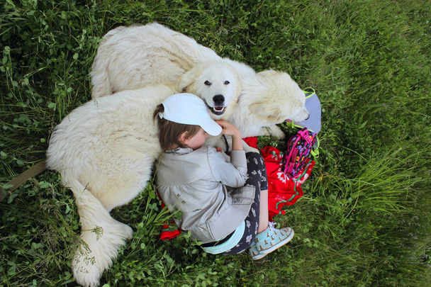 Linda chica joven pagando con sus mascotas. Chica y dos perros blancos al aire libre. Personas, Viajes, Mascotas, Concepto Infantil
. - Foto, Imagen