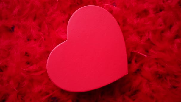 Zabalený dárek, na pozadí červené peří ve tvaru srdce - Záběry, video