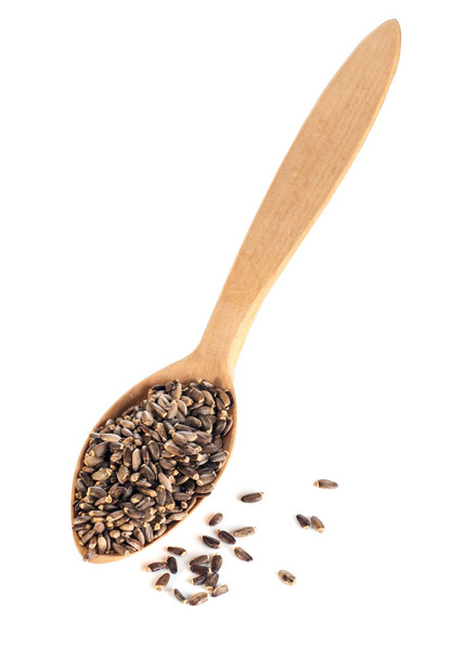 sementes de cardo em uma colher de madeira vista superior sobre um fundo branco
 - Foto, Imagem
