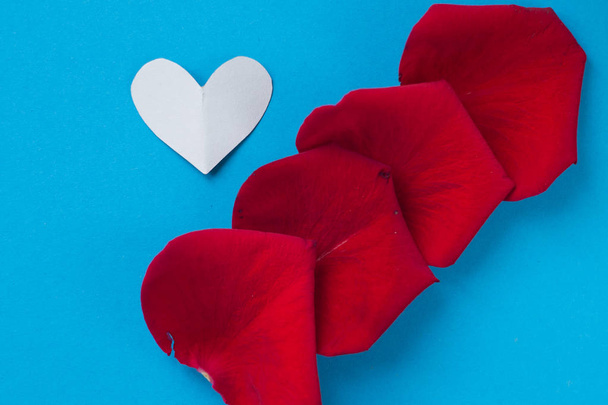 background for Valentine's day and eighth of March rose petals on blue background - Фото, зображення
