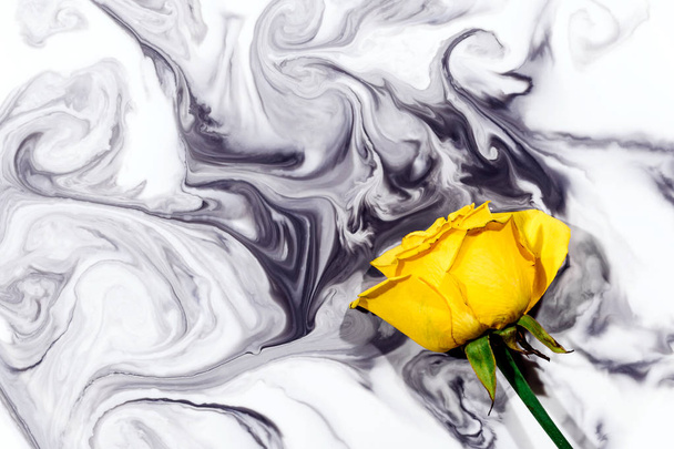 Su içinde sarı gül üzerinde beyaz arka plan whith siyah akrilik boyalar. Suluboya stil ve duman ile çiçek görüntüsünü soyut bahar. - Fotoğraf, Görsel