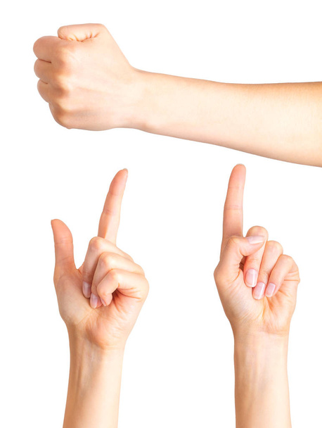 Set of woman hands with finger pointing up and fist - Фото, изображение