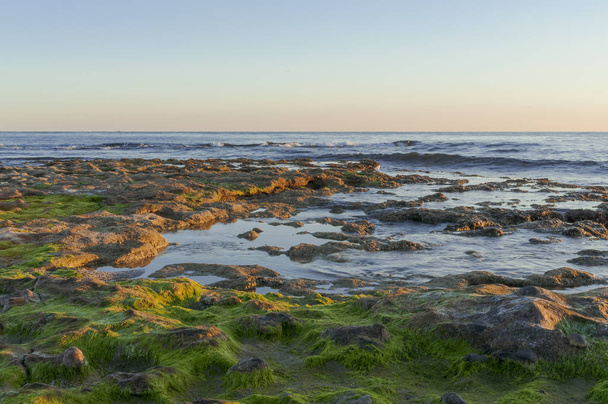 Rocas con musgo a la orilla del mar - Foto, Bild