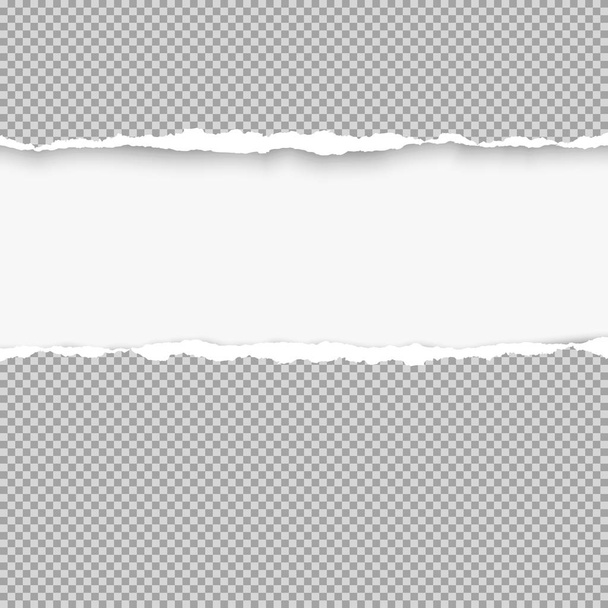 Geripte gekwadrateerde grijs papier voor tekst of bericht zijn op witte achtergrond. Vectorillustratie - Vector, afbeelding