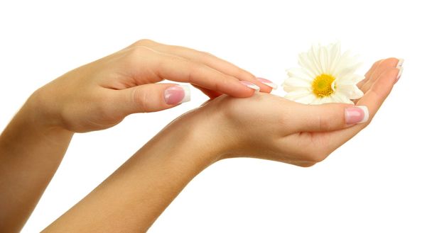 Beautiful woman hands with camomile, isolated on white - Photo, Image