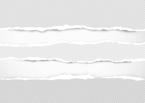 Repeytynyt harmaa vaakasuora paperi tekstiä tai viestiä varten on valkoisella pohjalla. Vektoriesimerkki
 - Vektori, kuva
