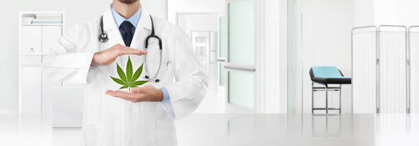 hands doctor with marijuana medical cannabis icon with the clinic in the background, copy space and web banner template - Photo, Image