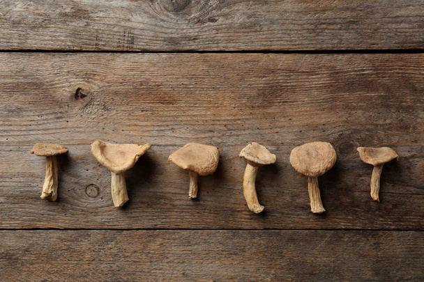 Flat lay composition of dried mushrooms on wooden background - Foto, Bild