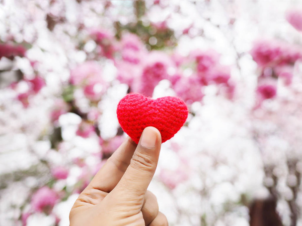 Woman selfie hand holding cushion heart shape over pink and white flowers blur background. Love and valentines day concept. - Photo, Image