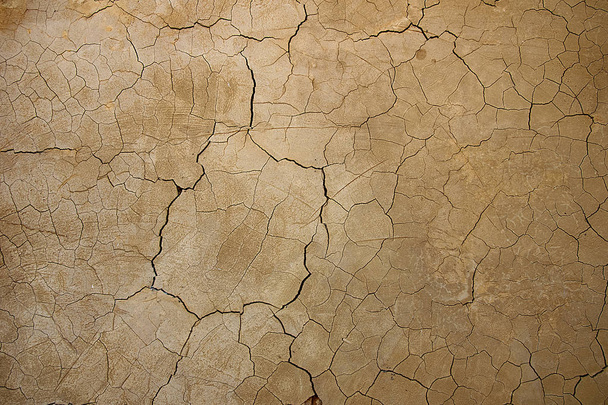 Texture del fondo della parete del suolo, primo piano
  - Foto, immagini