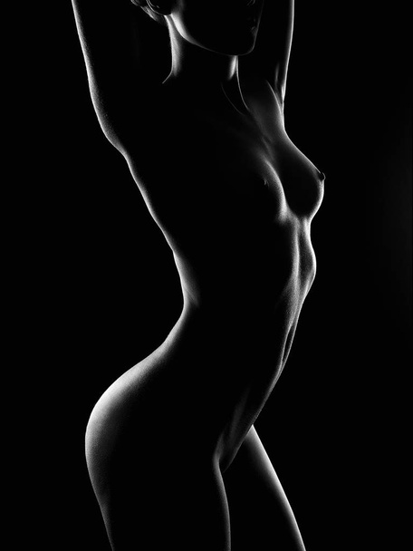 Black and white Female Nude silhouette. Naked Woman. Girl with Perfect Body. - Фото, изображение