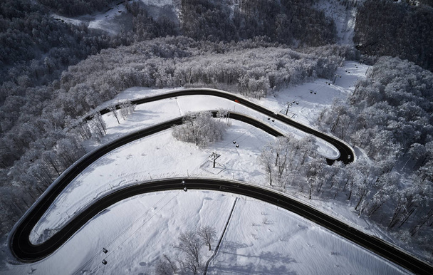 Aerial drone view of a curved winding road through the forest high up in the mountains in the winter with snow covered trees - Foto, Imagen