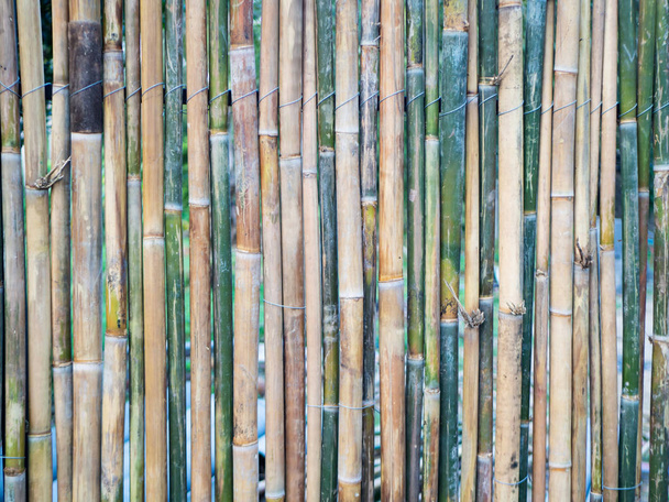 бамбукова стіна зелено-коричневого кольору, текстура, натуральний візерунок, крупним планом
 - Фото, зображення
