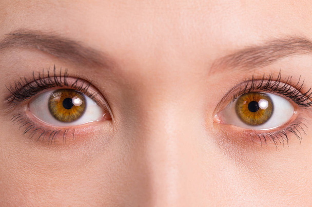 Hnědé oči close-up na bílý obličej s čistou kůží s přírodní make-up - Fotografie, Obrázek