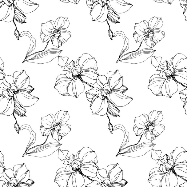Vector black orchids isolated on white. Seamless background pattern. Fabric wallpaper print texture. - Vector, Image