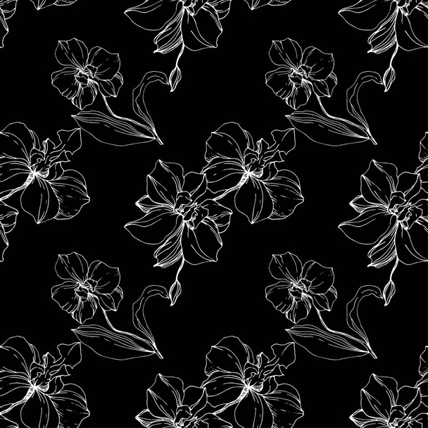 Vector orquídeas blancas aisladas en negro. Patrón de fondo sin costuras. Textura de impresión de papel pintado de tela
. - Vector, Imagen