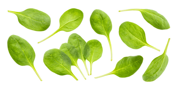 Spinach leaves isolated on white background with clipping path, collection - Photo, Image