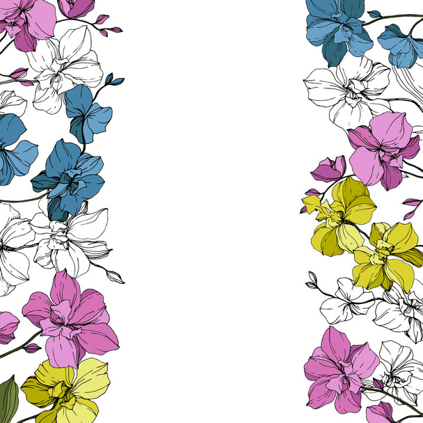 Orquídeas vectoriales azules, rosadas y amarillas aisladas en blanco. Marco ornamento borde con espacio de copia
. - Vector, imagen
