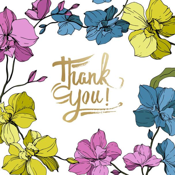 Vector blue, pink and yellow orchids isolated on white. Frame border ornament with thank you lettering. - Vector, Image