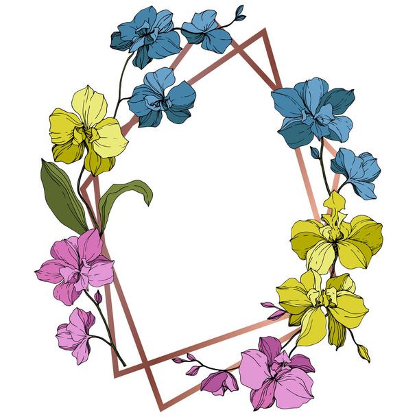 Vector blue, pink and yellow orchids isolated on white. Frame border ornament with copy space. - Vector, imagen