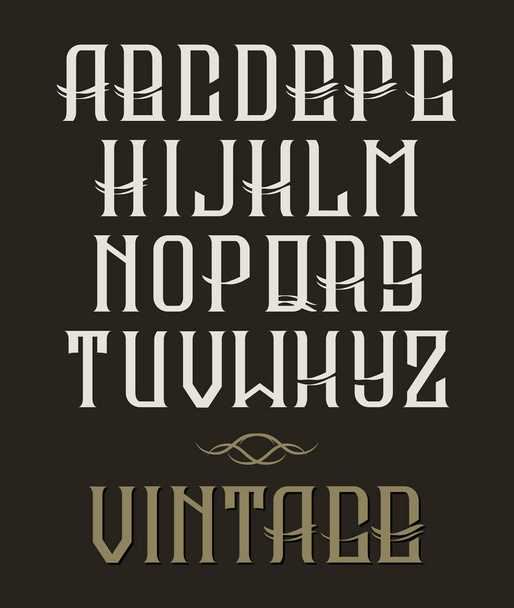 Hand drawn vector vintage typeface. Old style font on dark background - Vector, Image