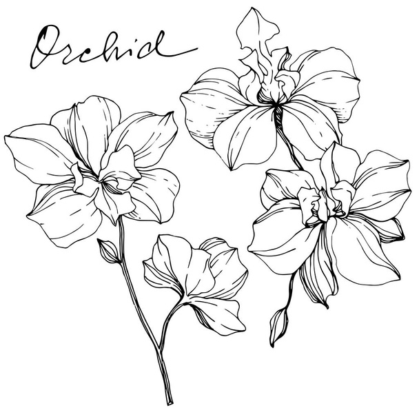 Arte planta orquídea 2er-Pack