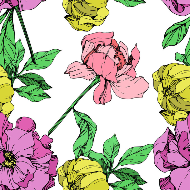 Vector pink, purple and yellow peonies illustration on white background. Engraved ink art. Seamless background pattern. Fabric wallpaper print texture. - Vektor, Bild