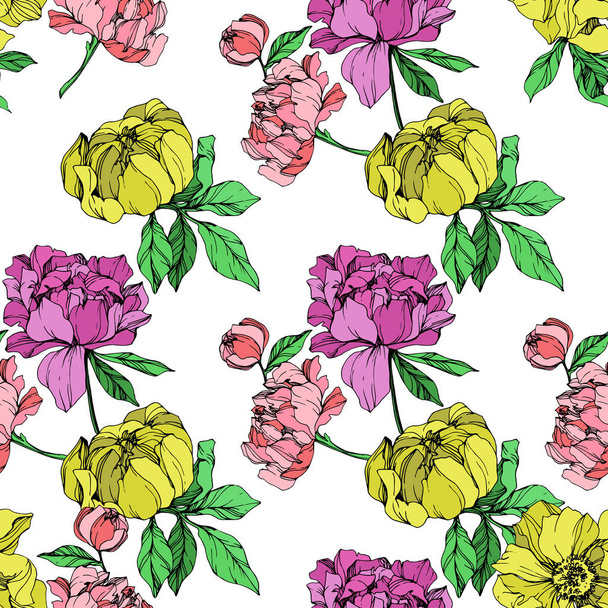 Vector pink, purple and yellow peonies illustration on white background. Engraved ink art. Seamless background pattern. Fabric wallpaper print texture. - Vetor, Imagem