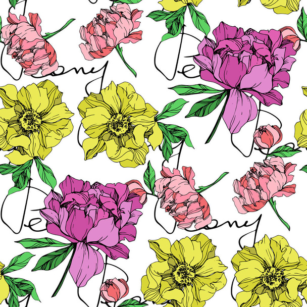 Vector purple, yellow and pink isolated peonies with peony letterings illustration on white background. Engraved ink art. Seamless background pattern. Fabric wallpaper print texture. - Vector, Image