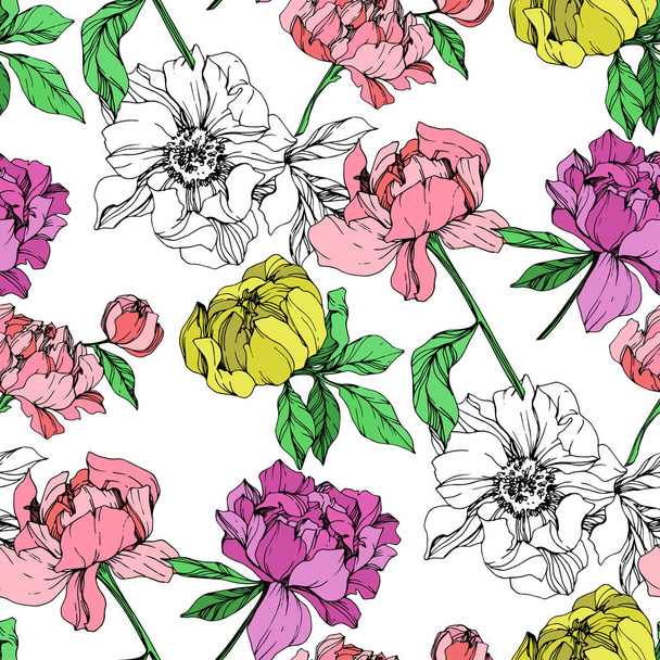 Vector purple, yellow and pink isolated peonies illustration on white background. Engraved ink art. Seamless background pattern. Fabric wallpaper print texture. - Vector, imagen