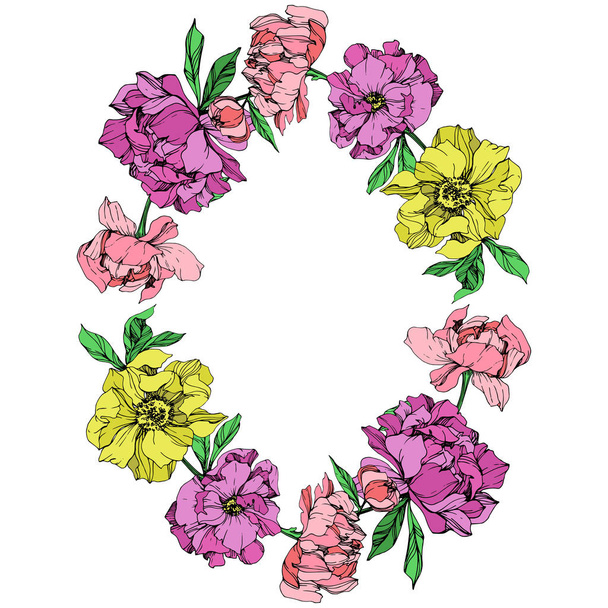 Vecteur isolé pivoines roses, violettes et jaunes avec des feuilles vertes sur fond blanc. Encre gravée. Cadre bordure ornement avec espace de copie
. - Vecteur, image