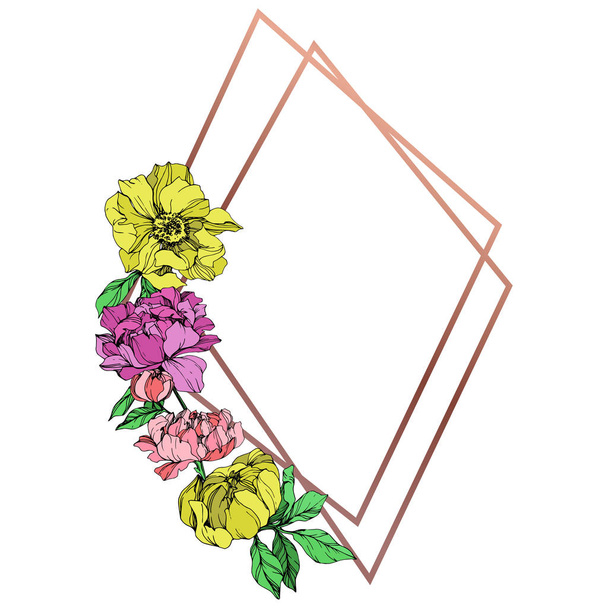 Vector isolated pink, purple and yellow peonies with green leaves on white background. Engraved ink art. Frame border ornament with copy space. - Vektor, Bild