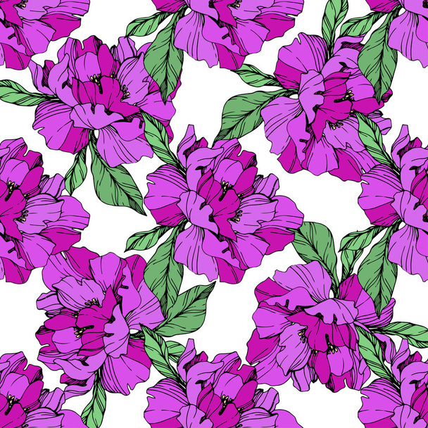 Vector purple isolated peonies illustration on white background. Engraved ink art. Seamless background pattern. Fabric wallpaper print texture. - Vector, Image